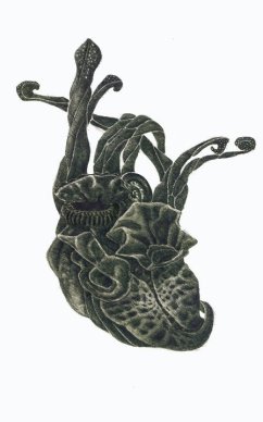 28391_1457928254340_8036059_n