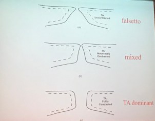 Foto 28-04-18, 11 57 31.jpg